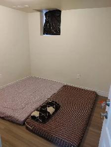 2 bedroom walkout basement from Oct01 - Photo 8