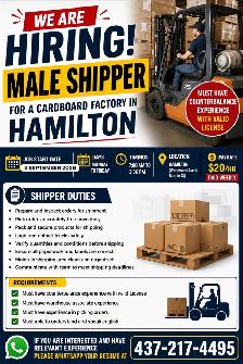 Hiring Shipper/Forklift operator (Cash Job)