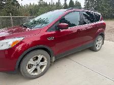 2016 Ford Escape SE - Photo 3
