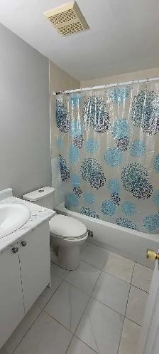 1 bedroom basement, Sheridan, Oct 1 - Photo 4