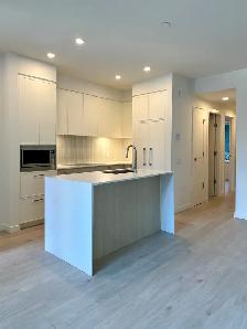 Brand New 2 Bed / 2 Bath Garden Level Townhome - Photo 2