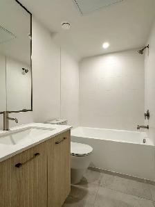 Brand New 2 Bed / 2 Bath Garden Level Townhome - Photo 9
