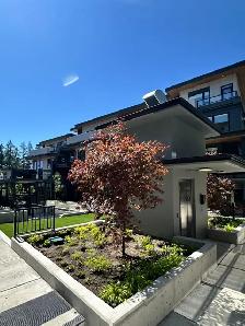 Brand New 2 Bed / 2 Bath Garden Level Townhome - Photo 11