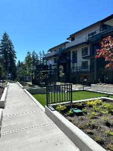 Brand New 2 Bed / 2 Bath Garden Level Townhome - Photo 12