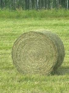 Grass/alfalfa bales