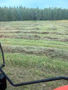 Grass/alfalfa bales - Photo 2