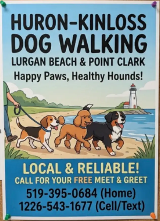 Dog Walking
