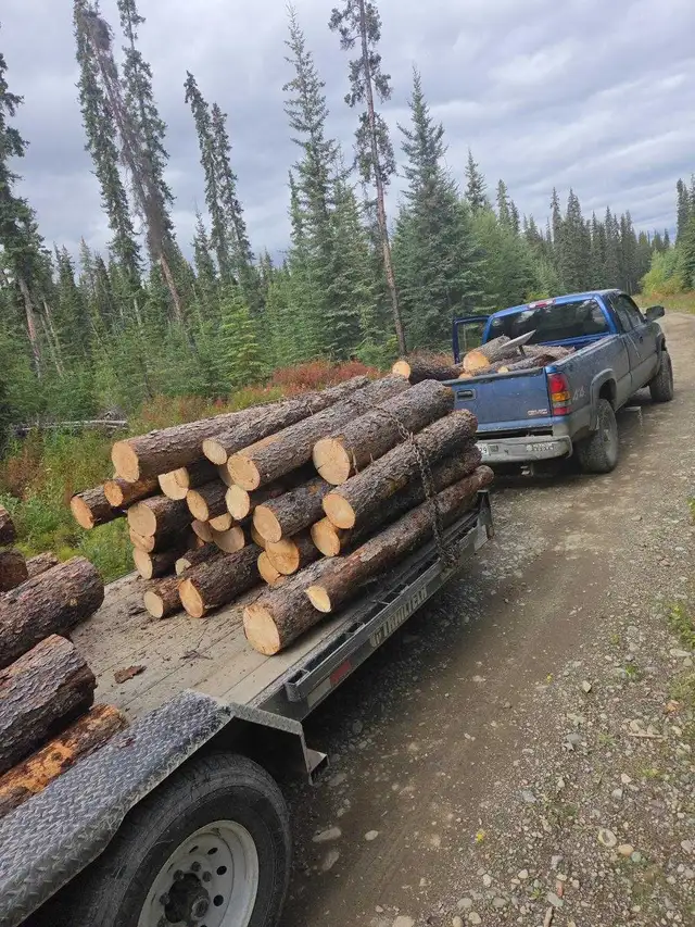 Seasoned Firewood – Logs $350/Cord | Rounds $400/Cord
