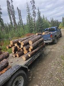 Seasoned Firewood – Logs $350/Cord | Rounds $400/Cord
