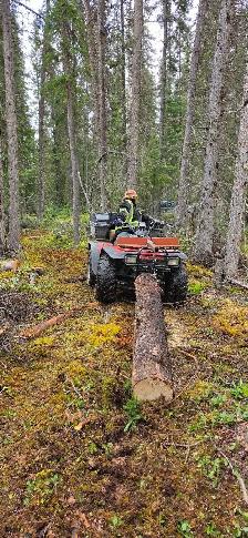 Seasoned Firewood – Logs $350/Cord | Rounds $400/Cord - Photo 3
