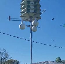 PURPLE MARTIN BIRDHOUSE FOR SALE - Photo 4