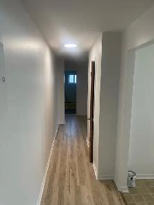 10108 Berri - Photo 3