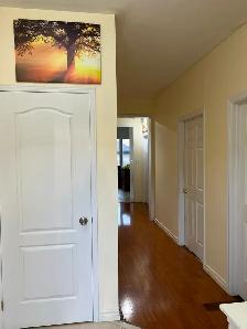 Rooms for Rent Near York University – Available October 1