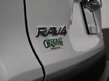 2025 Toyota RAV4 XLE AWD | HEATED SEATS | SUNROOF & MORE! - Photo 24