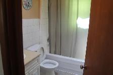 Cottages for Rent in port Elgin - Photo 15