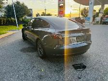 2022 Tesla Model 3 RWD - Photo 4