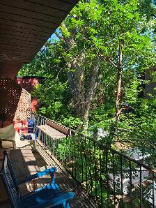 Plateau Mile-End - Photo 10