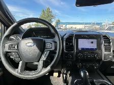 2020 Ford F-150 XL Crew Cab 5.0L V8 | Reverse Camera | No Report - Photo 11