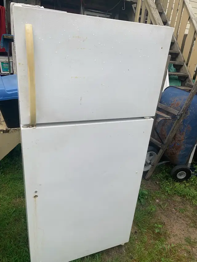 Fridge Electrolux