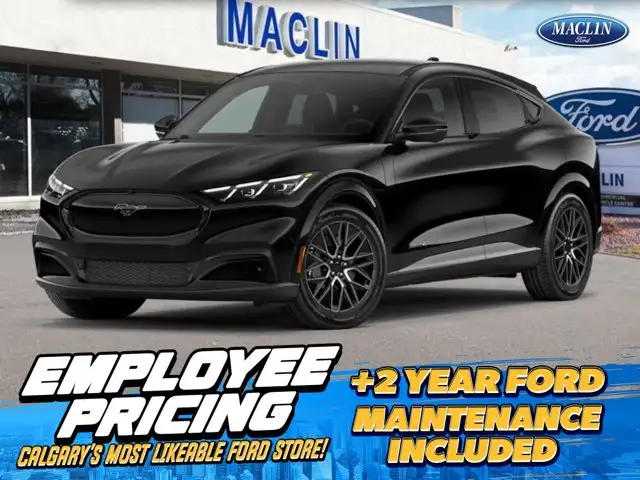 2026 Ford Mustang Mach-E Premium | 300A: PANORAMIC ROOF PACKAGE