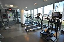 209 FORT YORK BLVD - NEPTUNE CONDOS - BACHELOR SUITE W/1-LOCKER - Photo 9