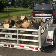 Tree Cutting Storm Cleanup - Photo 2