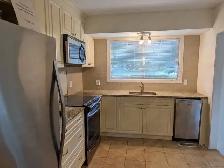 New! 3 Rooms-Merivale/Baseline-10m Walk Algonquin-See VIDEO's