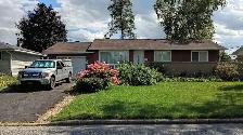 New! 3 Rooms-Merivale/Baseline-10m Walk Algonquin-See VIDEO's - Photo 2