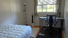 New! 3 Rooms-Merivale/Baseline-10m Walk Algonquin-See VIDEO's - Photo 3