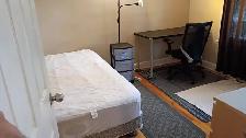 New! 3 Rooms-Merivale/Baseline-10m Walk Algonquin-See VIDEO's - Photo 5