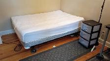 New! 3 Rooms-Merivale/Baseline-10m Walk Algonquin-See VIDEO's - Photo 6