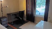 New! 3 Rooms-Merivale/Baseline-10m Walk Algonquin-See VIDEO's - Photo 7
