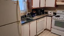 New! 3 Rooms-Merivale/Baseline-10m Walk Algonquin-See VIDEO's - Photo 10