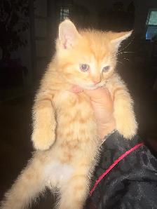 baby ready to go - Photo 2