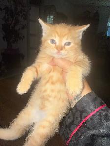 baby ready to go - Photo 3