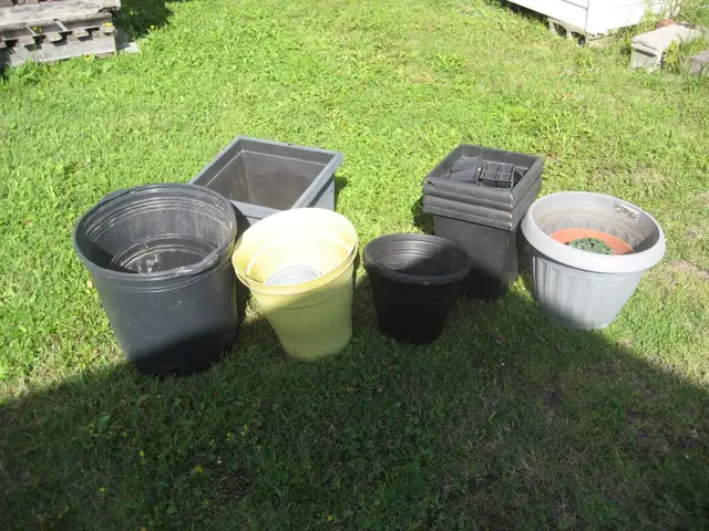 Plant pots to give away