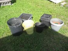 Plant pots to give away