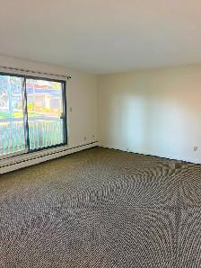 SPACIOUS AND COZY 2 BEDROOMS IN KING EDWARD-BONNIE DOON - Photo 6