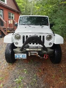 Awesome Jeepy needs a home! - Photo 3