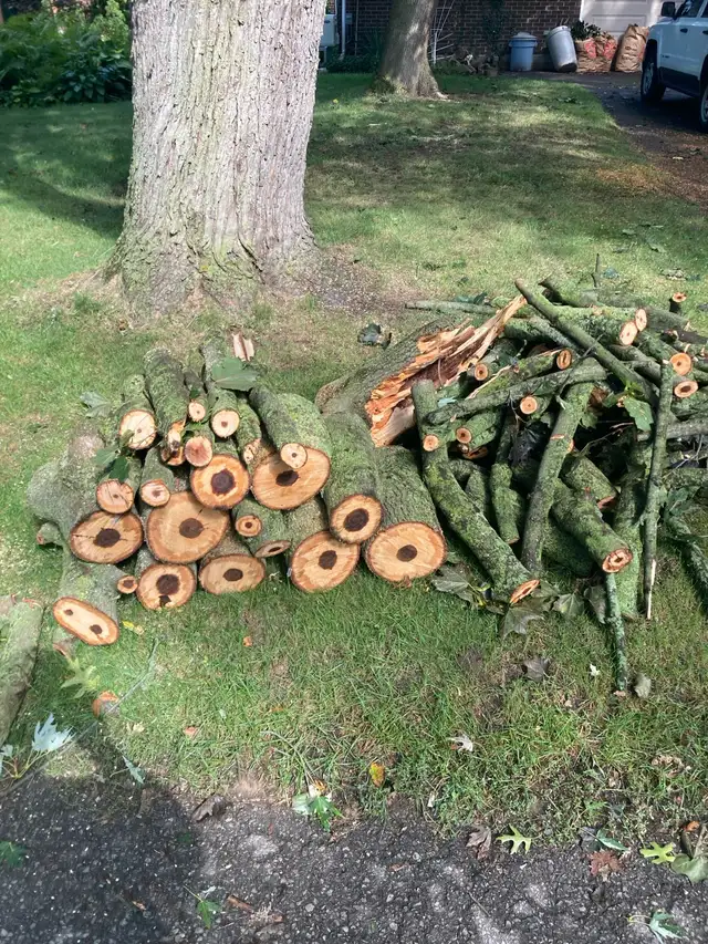 Free Firewood - Must pick up