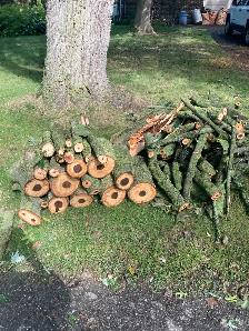 Free Firewood - Must pick up