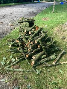 Free Firewood - Must pick up - Photo 2