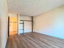 Downtown 1-Bedroom   Den with Indoor Parking - Photo 6
