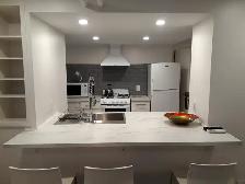 $1795 Fully Furnished 1 Bedroom Hintonburg, Includes Utiliites