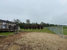 Gull Lake Acreage Longterm Rental Home - Photo 3