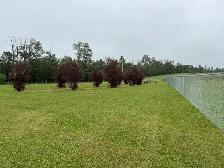 Gull Lake Acreage Longterm Rental Home - Photo 4