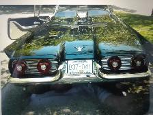 1959  Thunderbird Convertible - Photo 3