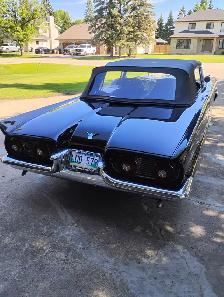 1959  Thunderbird Convertible - Photo 8