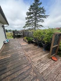Granny Suite for rent in quiet Hampton neighbourhood! - Photo 8