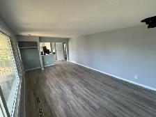 3 bedroom suite (AVAILABLE IMMEDIATELY) - Photo 4